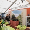Emsdettener Frühjahrsmarkt