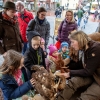 35. Emsdettener Frühjahrsmarkt
