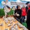 35. Emsdettener Frühjahrsmarkt